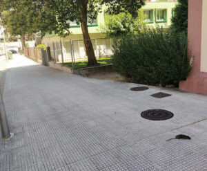Ratas en Campolongo, Pontevedra